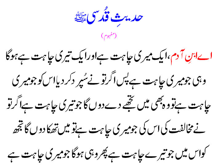 Download Quran and Make your own CD for Quran Downloader